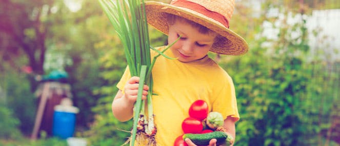The ABCs of healthy eating for kids