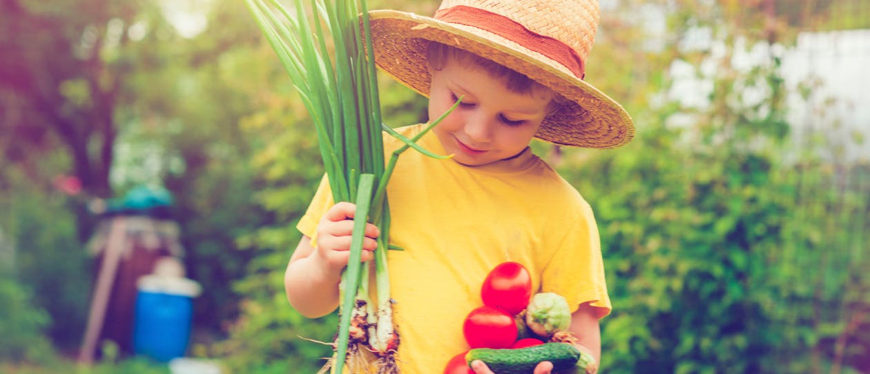 The ABCs of healthy eating for kids