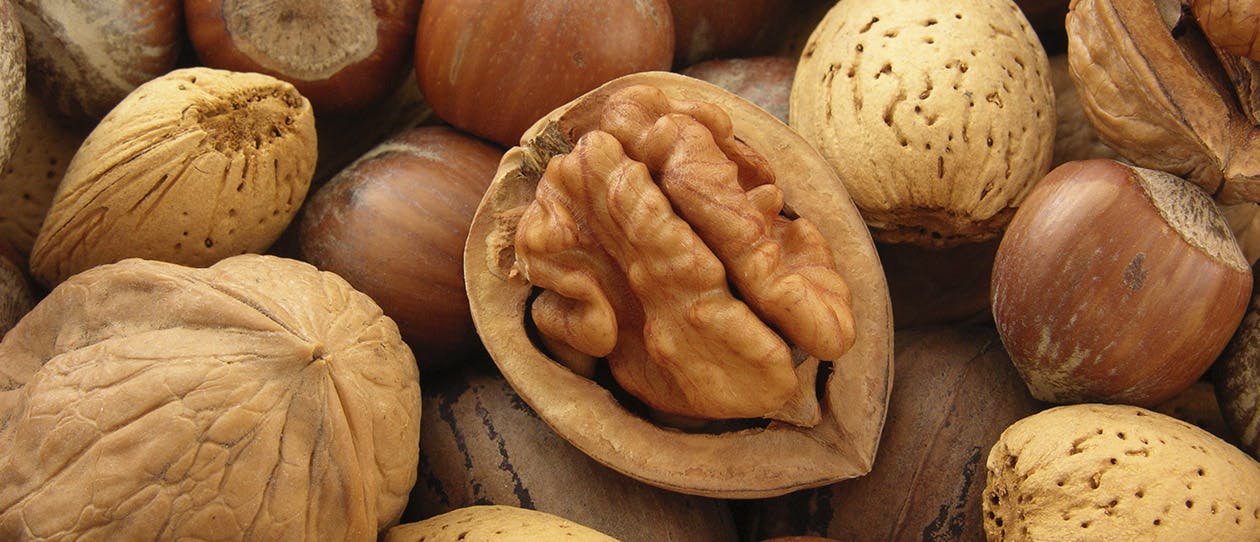 Why walnuts are a fertility superfood for men 1260x542