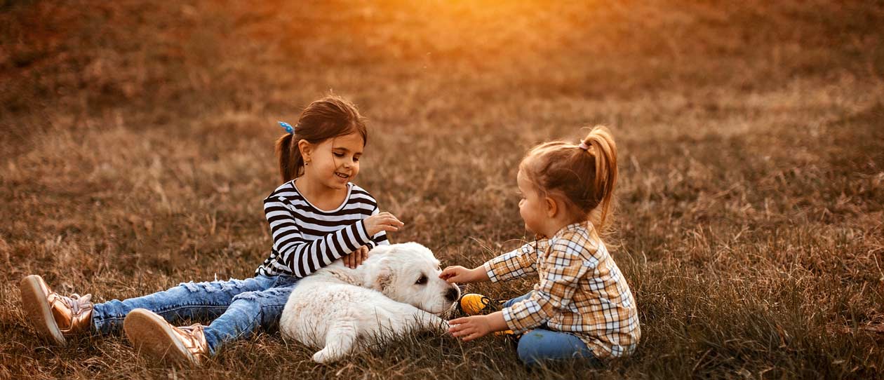 Two sisters patting their dog outside in the grass and sunshine