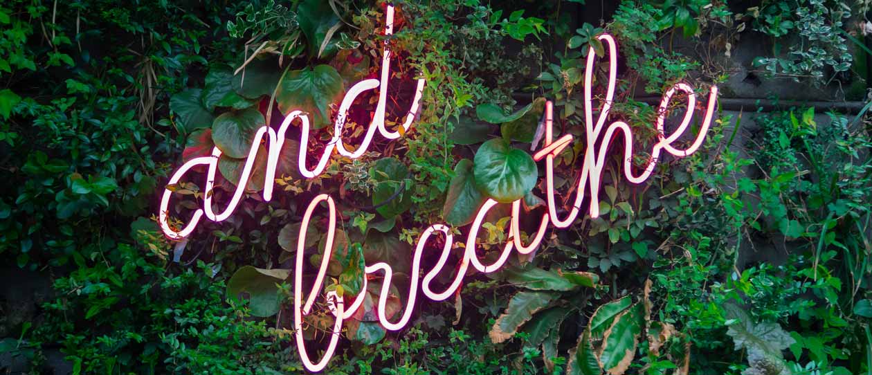 Neon sign saying and breathe in greenery