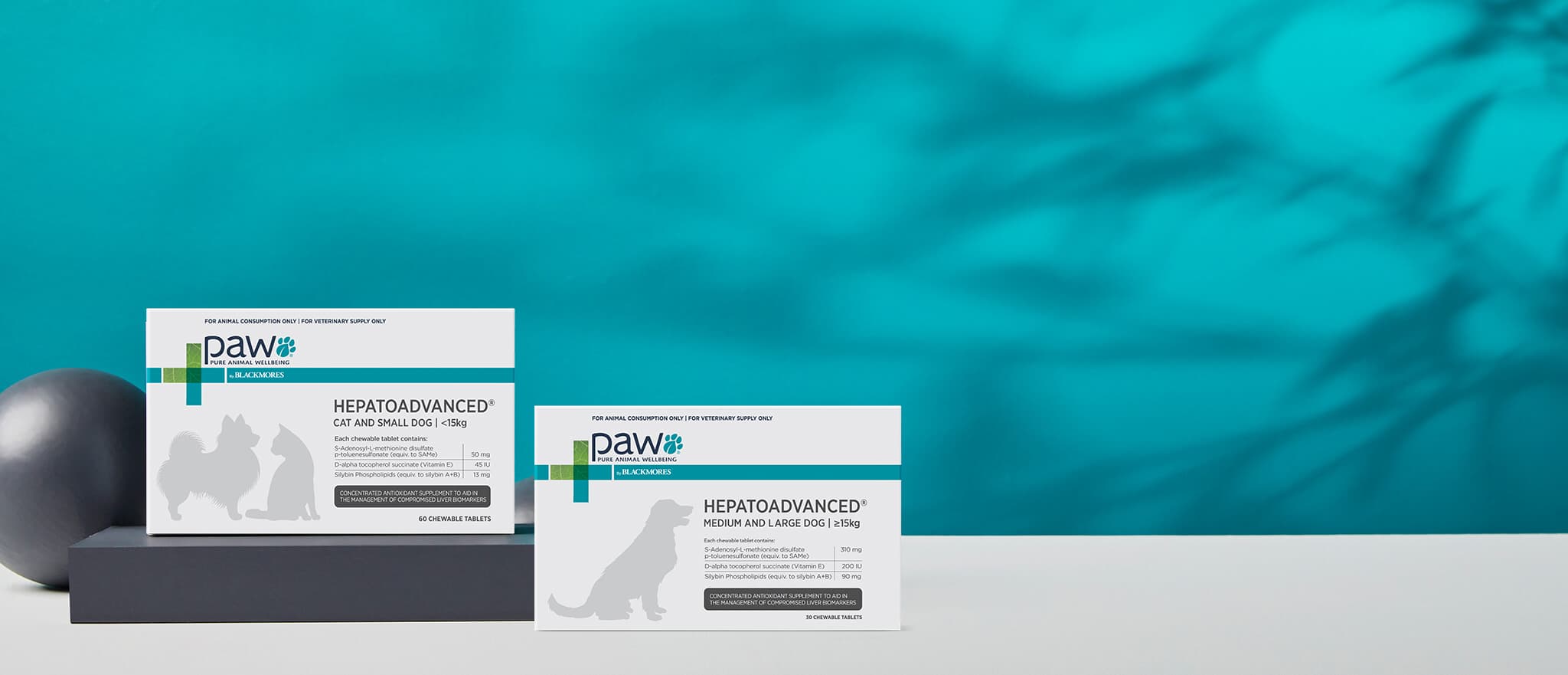 PAW HepatoAdvanced header Both Sizes
