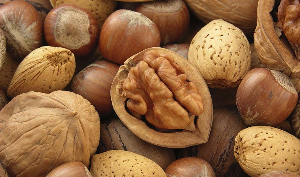 Why walnuts are a fertility superfood for men thumb