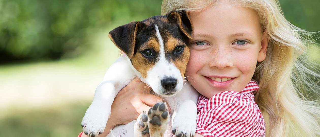 young girl cuddling a jack russell puppy