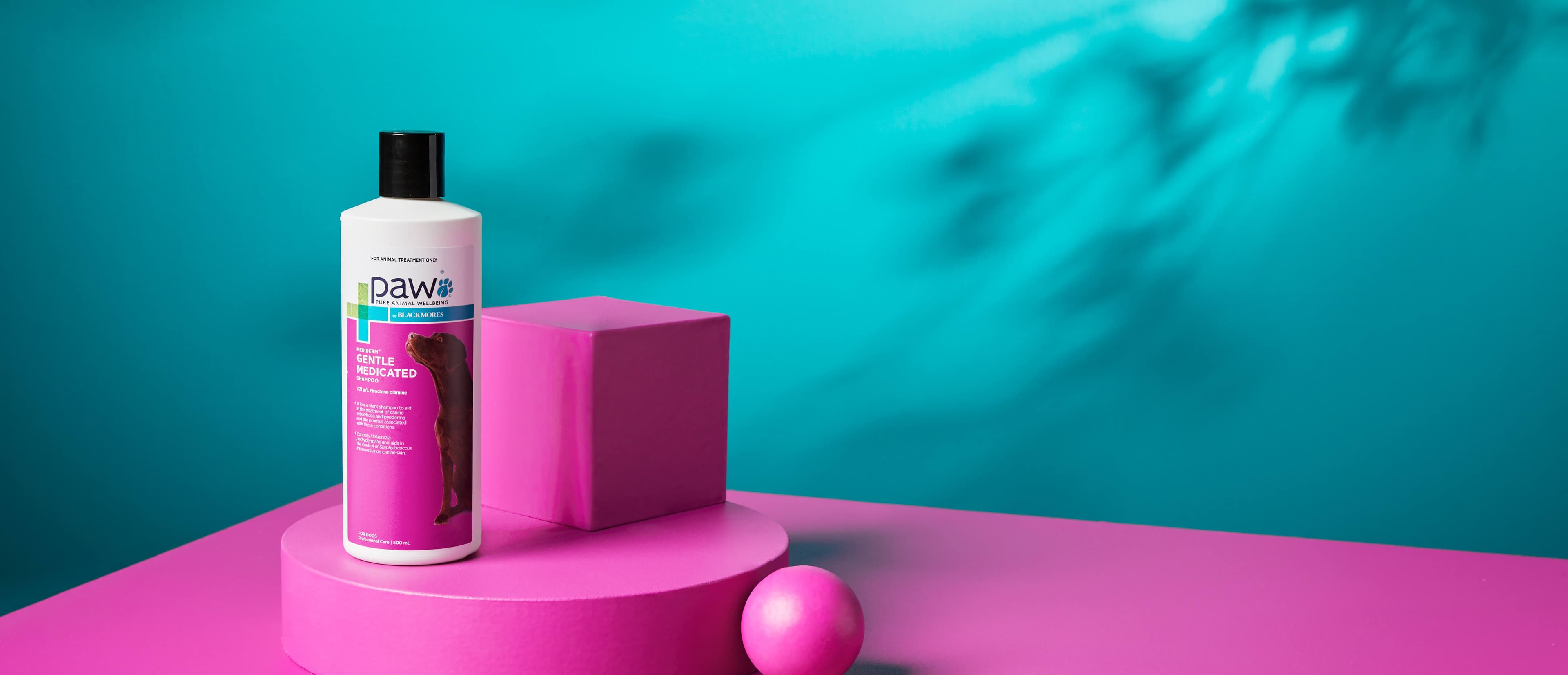 PAW_Mediderm-gentle-Medi-dog-shampoo_Product-header-banner_5064x2179