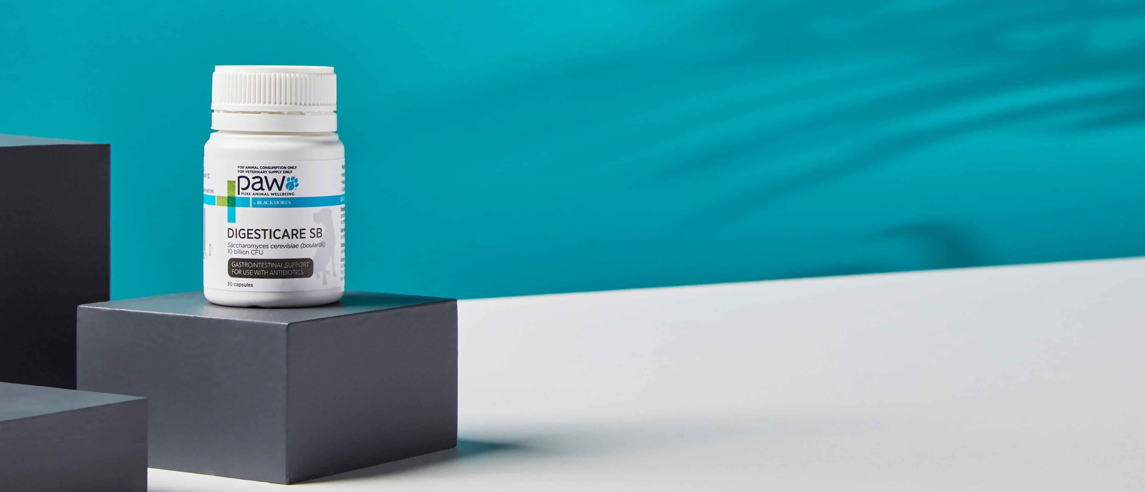 Product-Header-Banner-5064x2179_DIGESTICARE SB