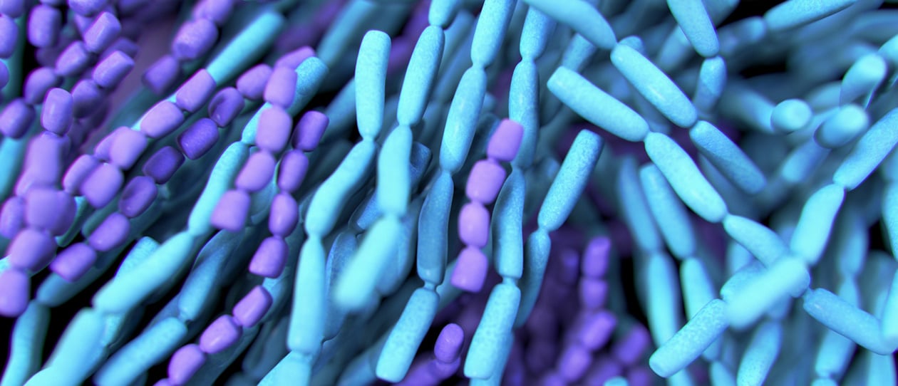 What are probiotics? - Blackmores