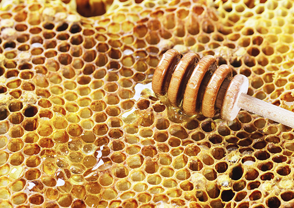 propolis600x425