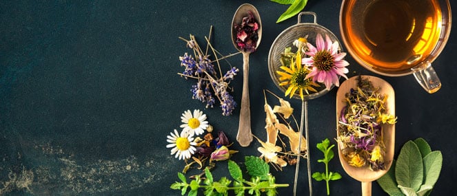 Ask a naturopath